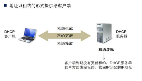 計(jì)算機(jī)網(wǎng)絡(luò)原理精要筆記 第六章 應(yīng)用層與信息咨詢服務(wù)